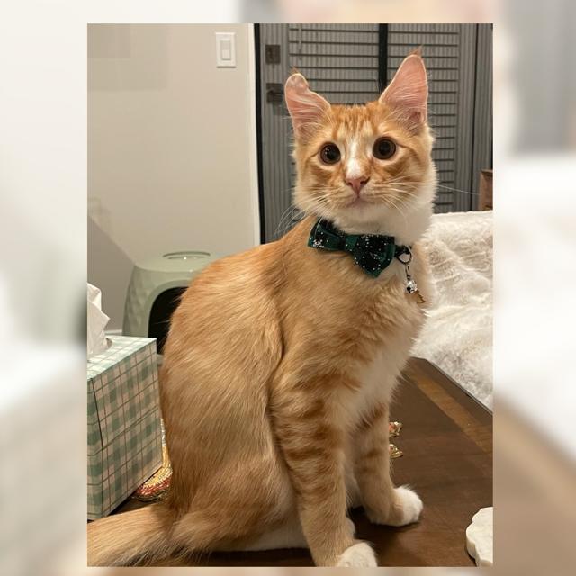 Oliver
