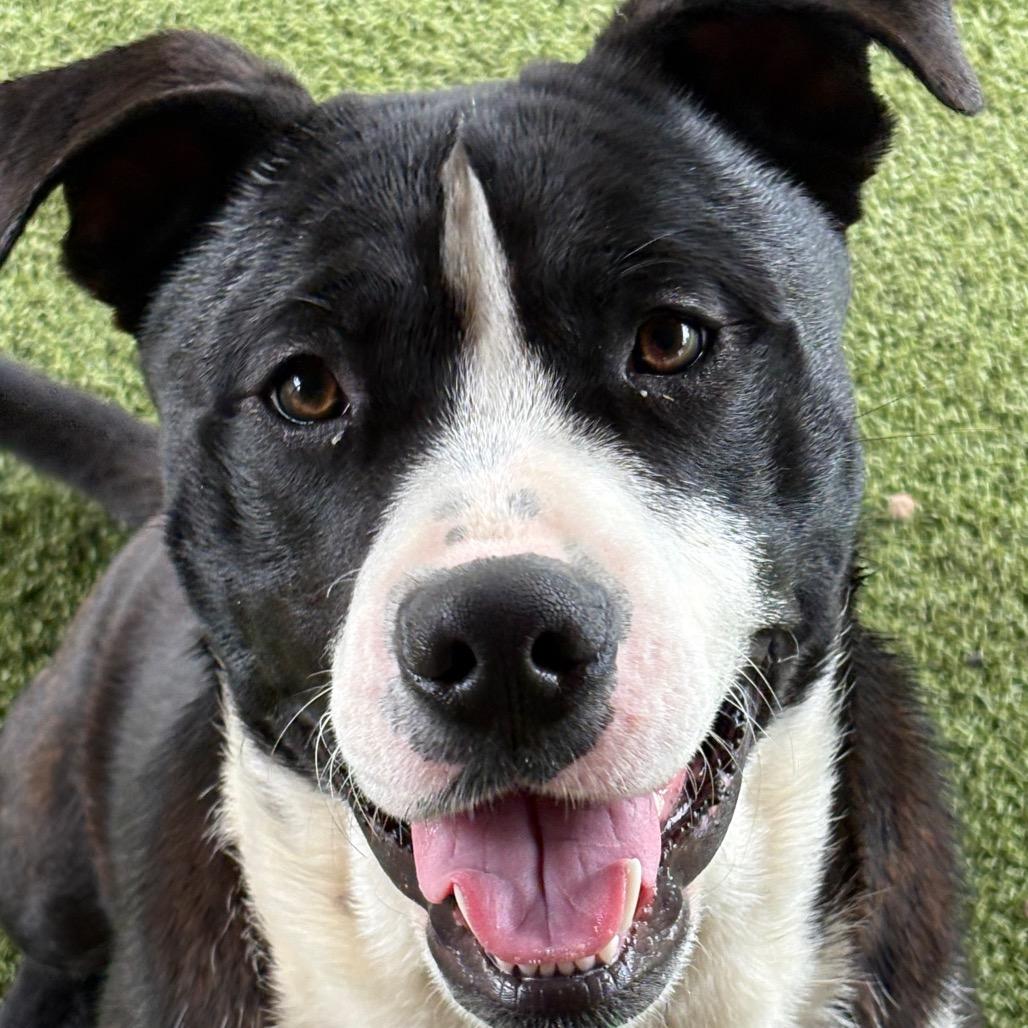 Temple — thumbnail 3