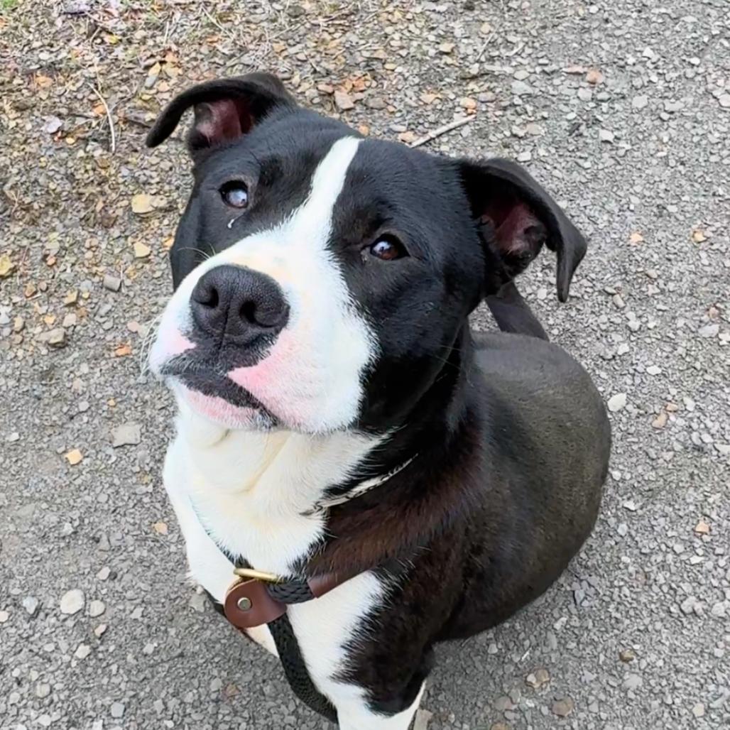 Temple — thumbnail 4