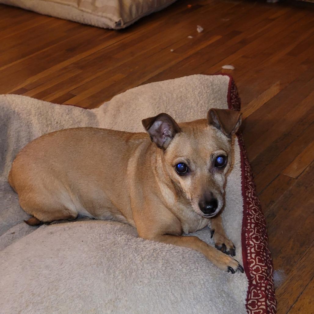 Ethel- D10508 — thumbnail 2