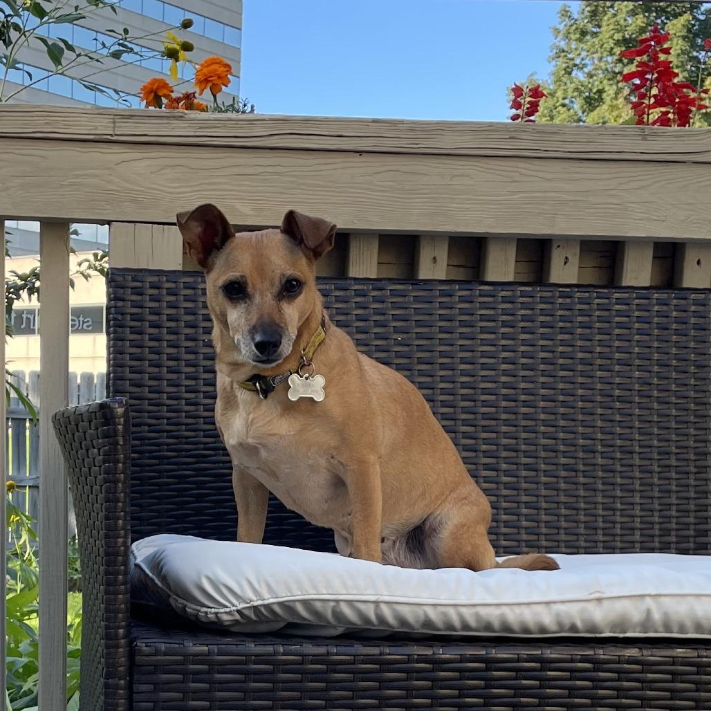 Ethel- D10508 — thumbnail 3