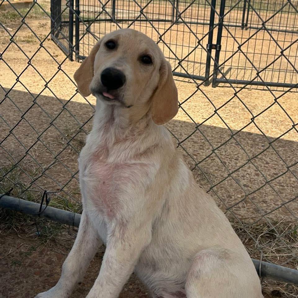 Foster ANDREW!