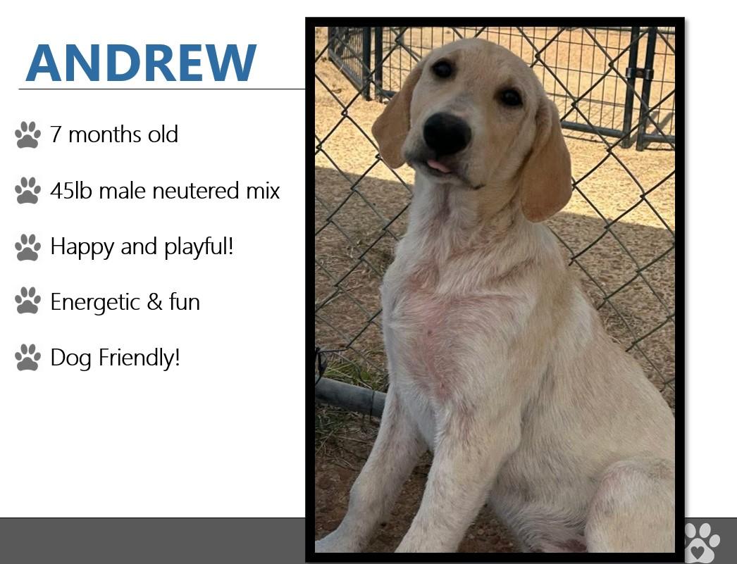 Foster ANDREW!