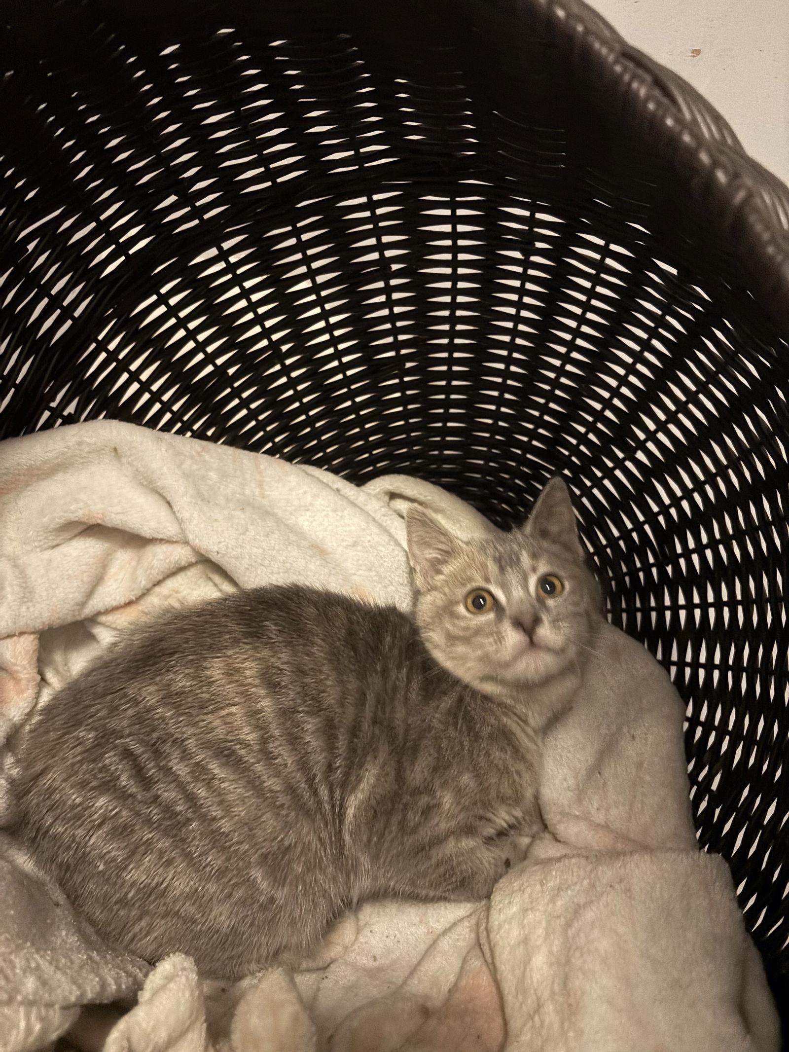 Mary Sanderson thumbnail 2