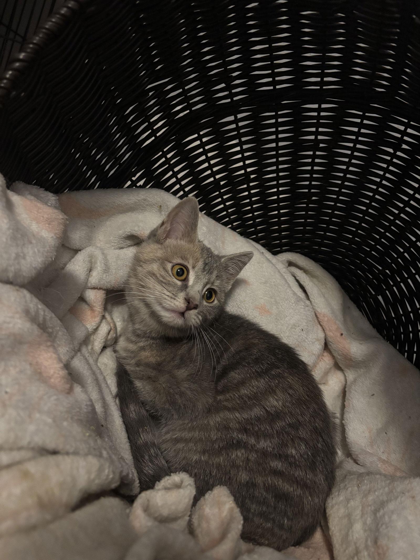 Mary Sanderson thumbnail 3