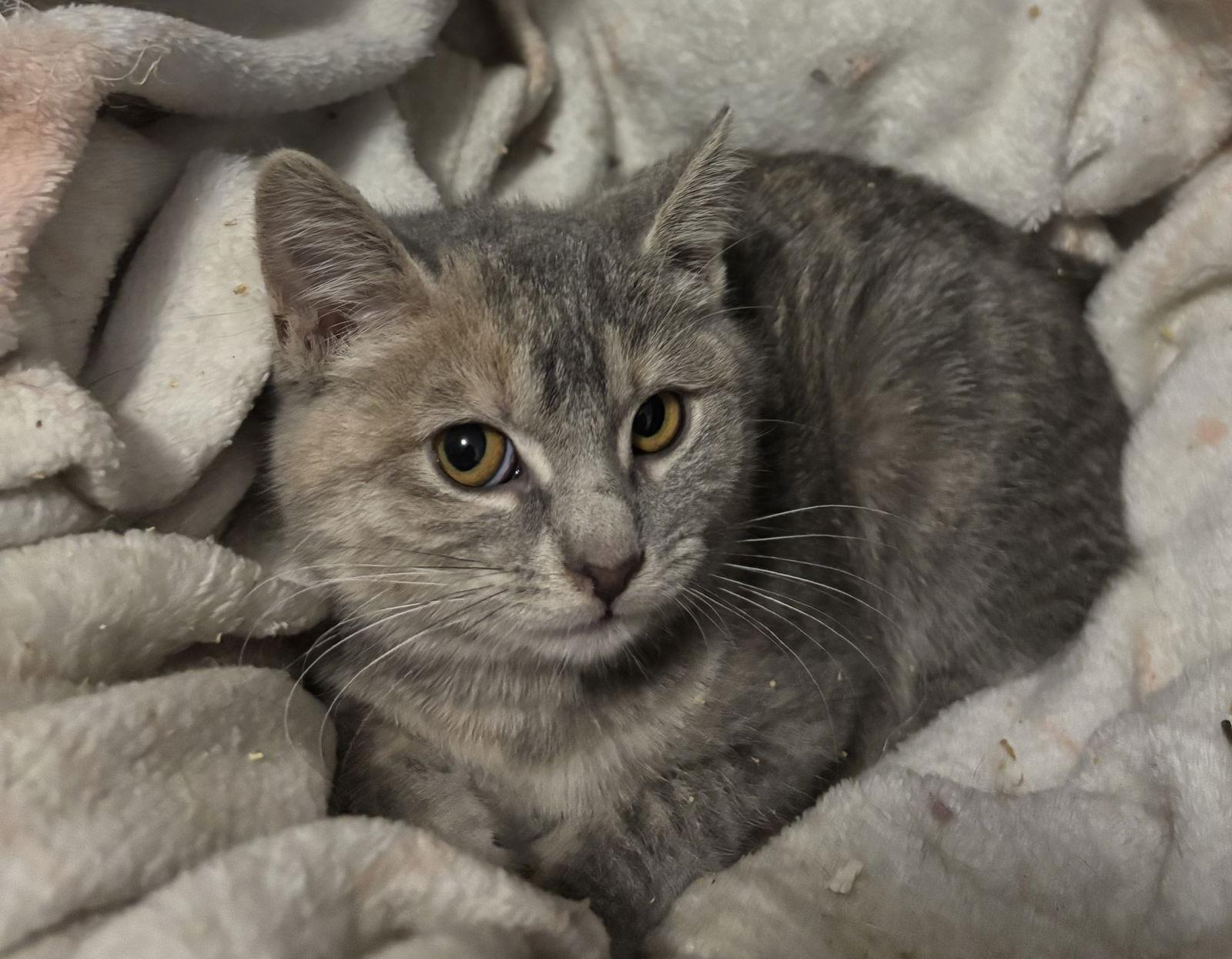 Mary Sanderson thumbnail 4