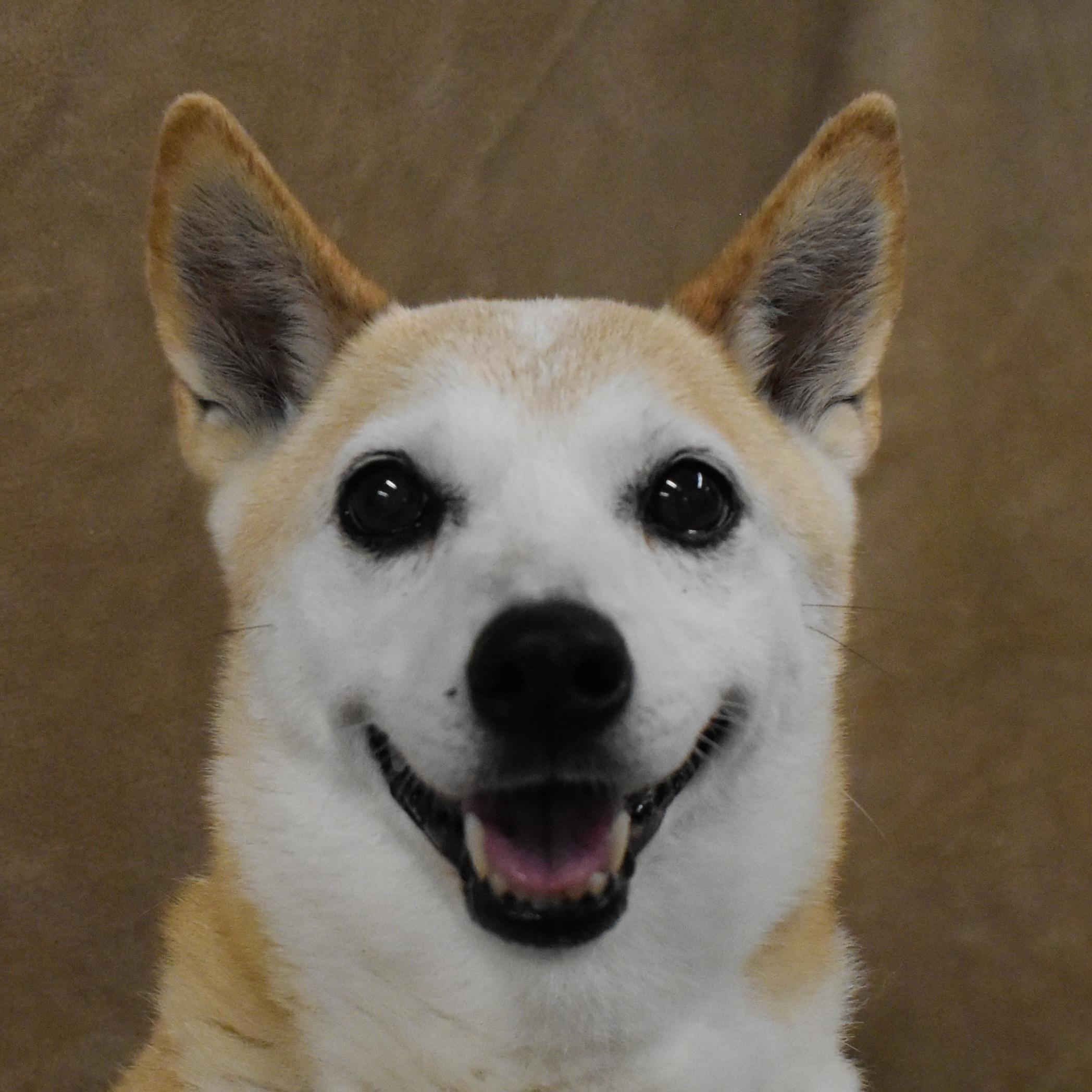 Skylar, Senior Female unknown