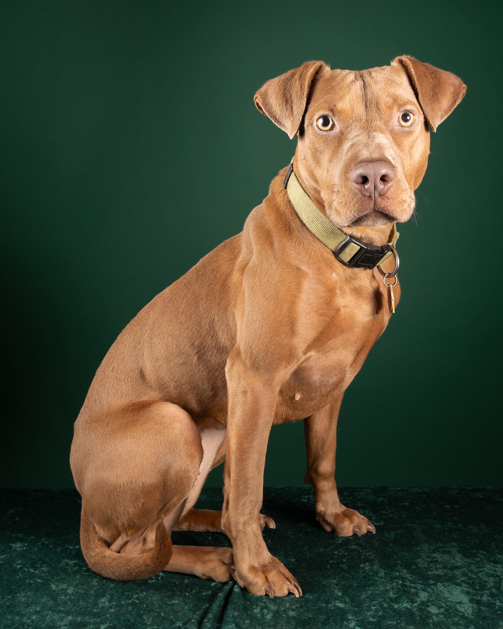Holly FosterHome 440327 photo 3