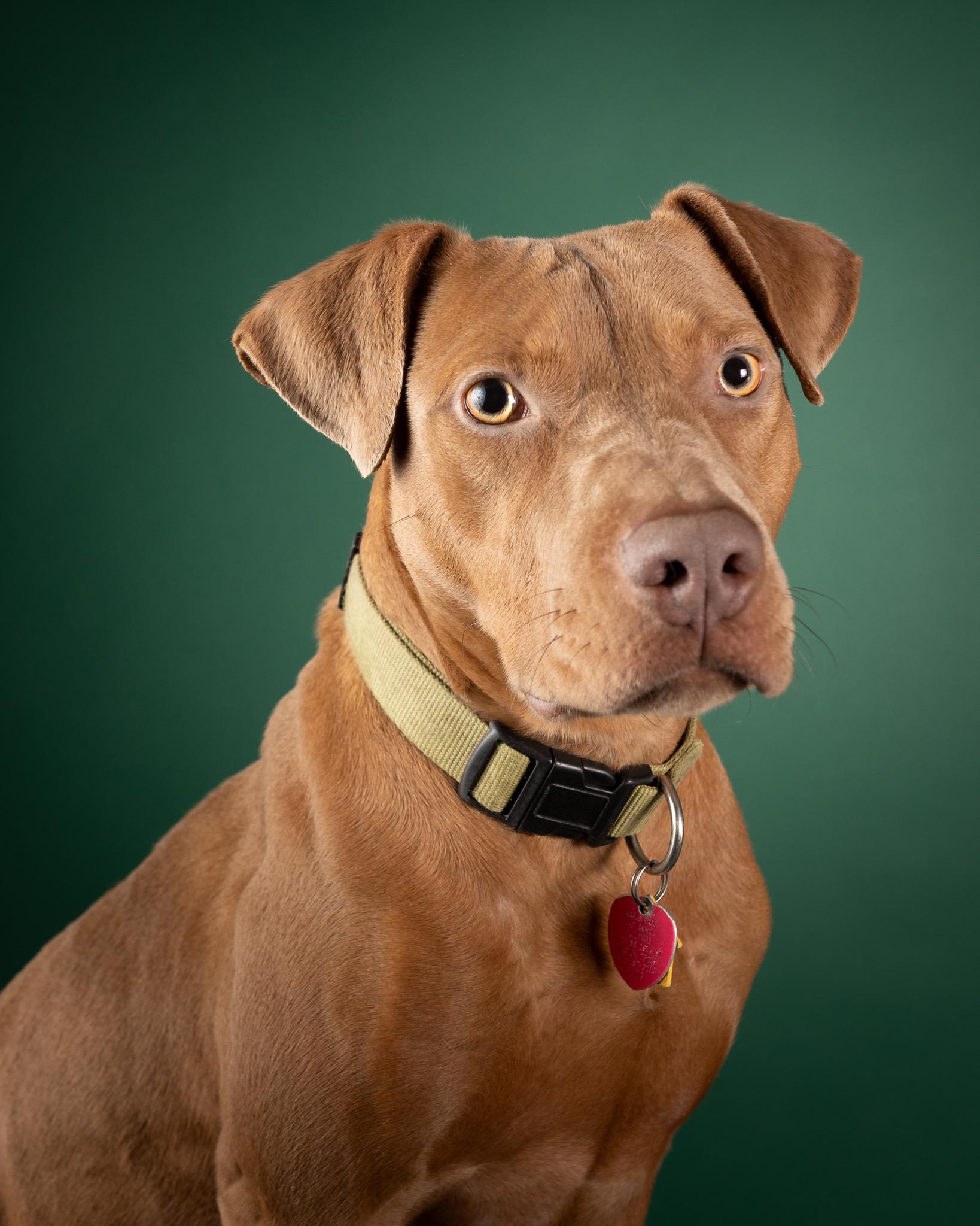Holly FosterHome 440327 photo 2