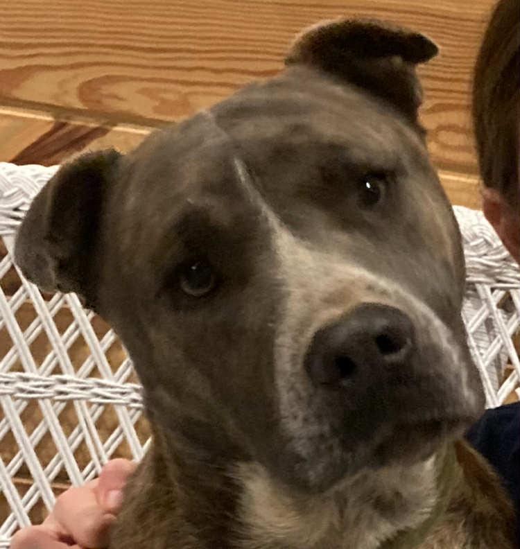 Turbo — thumbnail 4