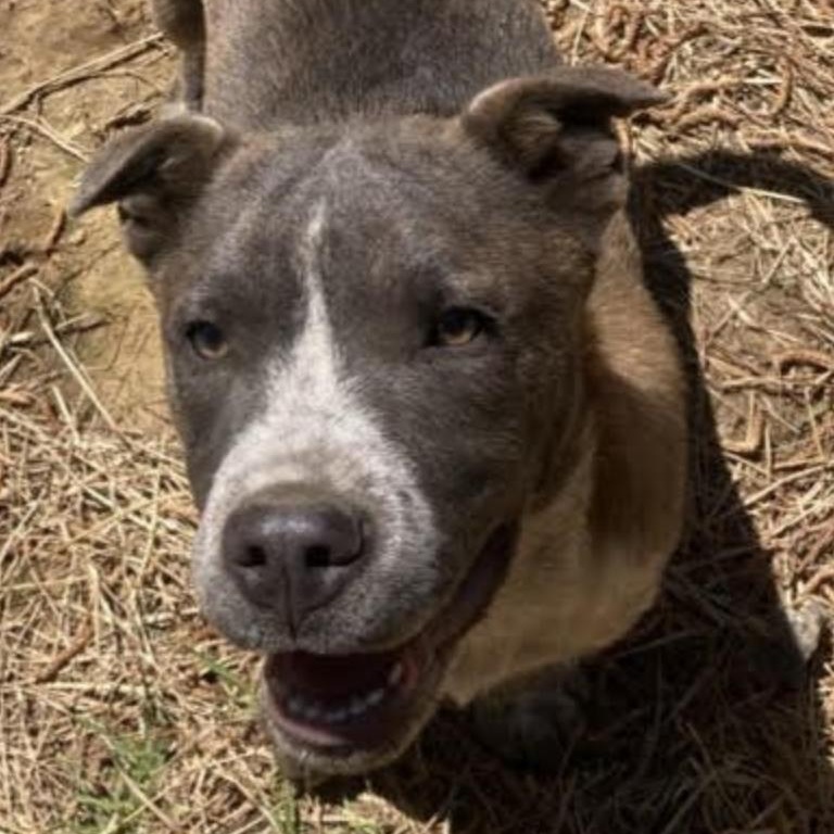 Turbo — thumbnail 5