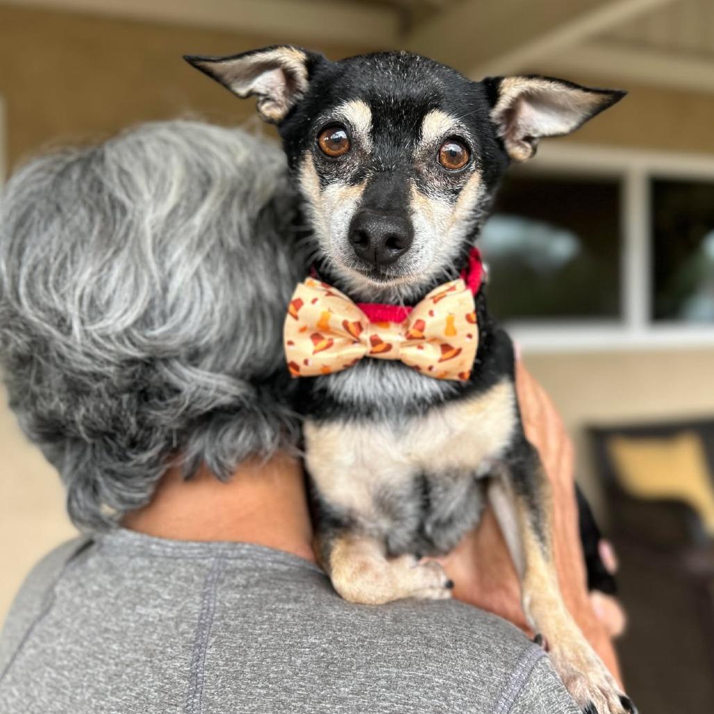 Goose Beurre — thumbnail 6