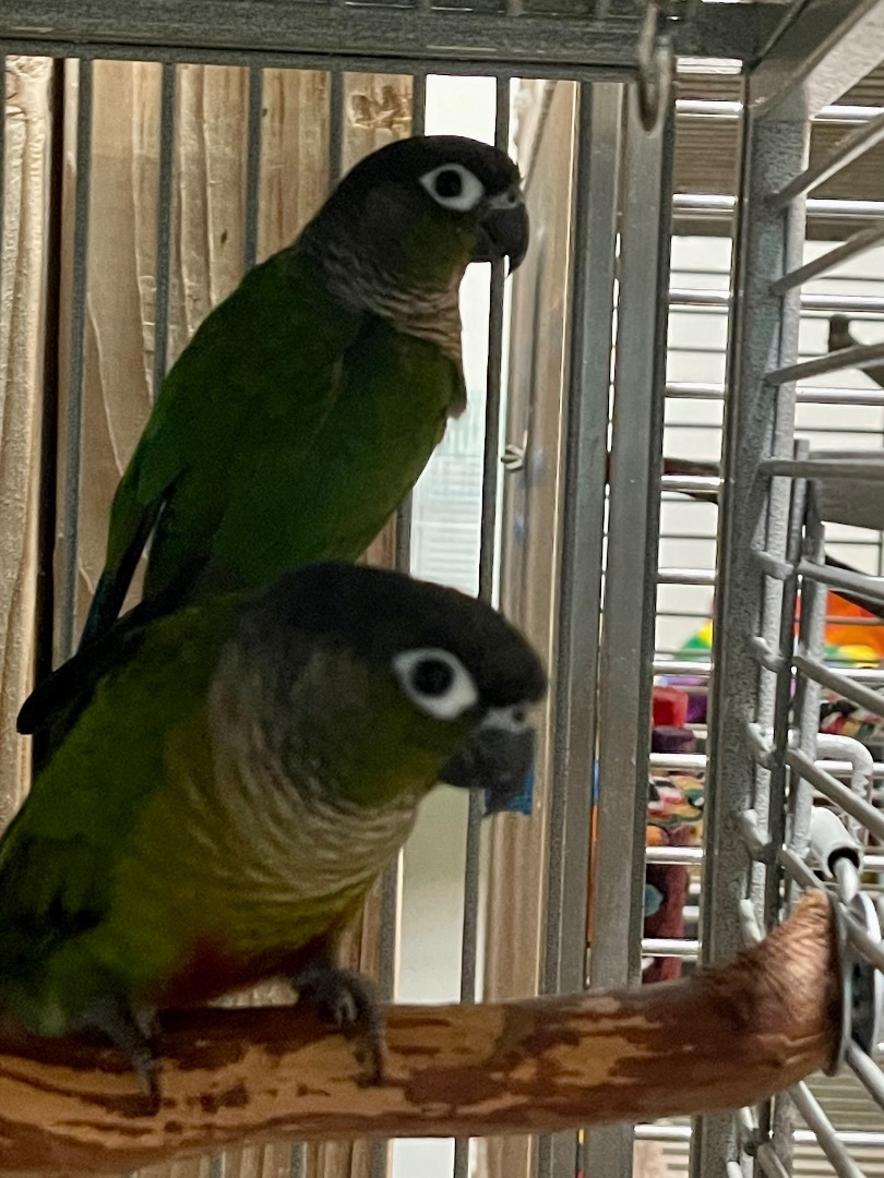 Sapphire and Gretchen