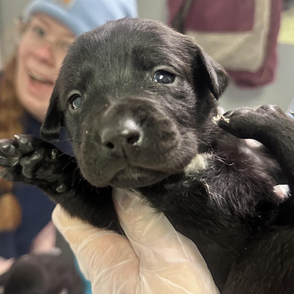 Dana Evans — thumbnail 2