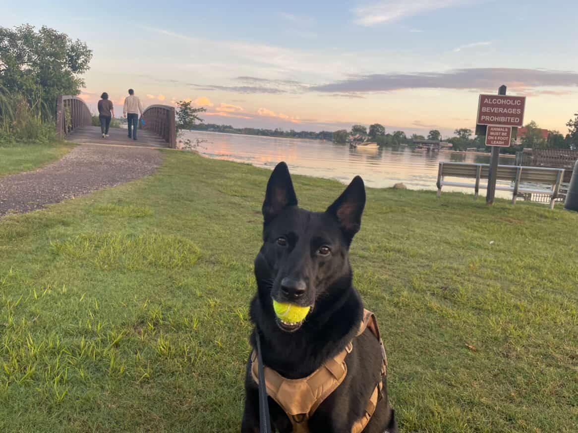 **PLEASE READ FULL DESCRIPTION** Udon