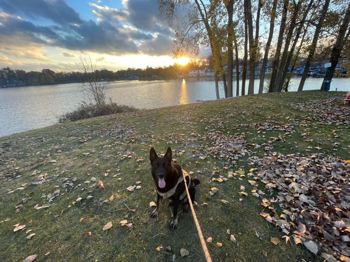 **PLEASE READ FULL DESCRIPTION** Udon