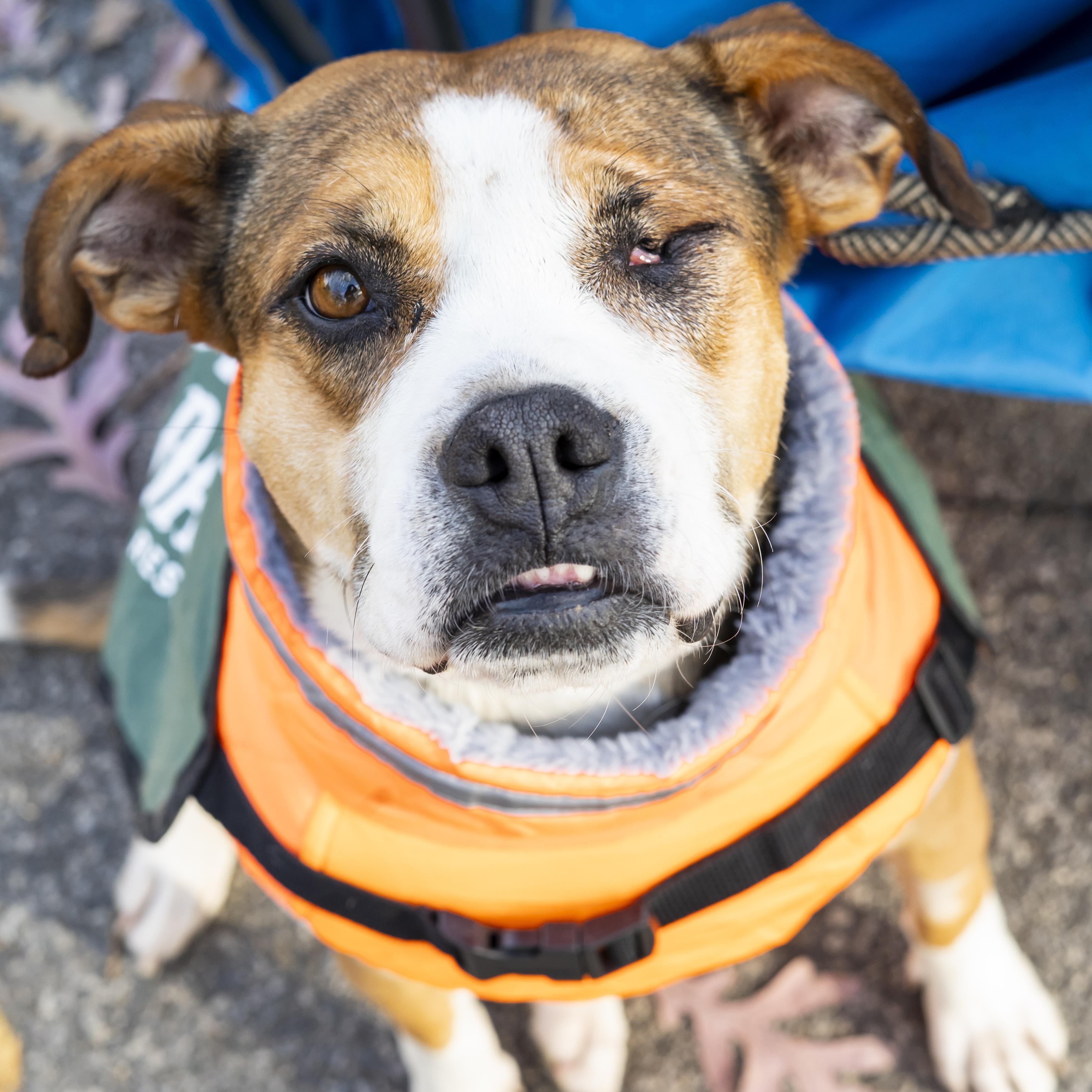 Rose Lavelle thumbnail 3