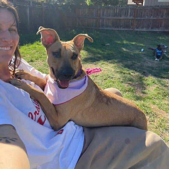 Faith SF, a Adoptable Mixed Breed in Bend, OR image 6/6