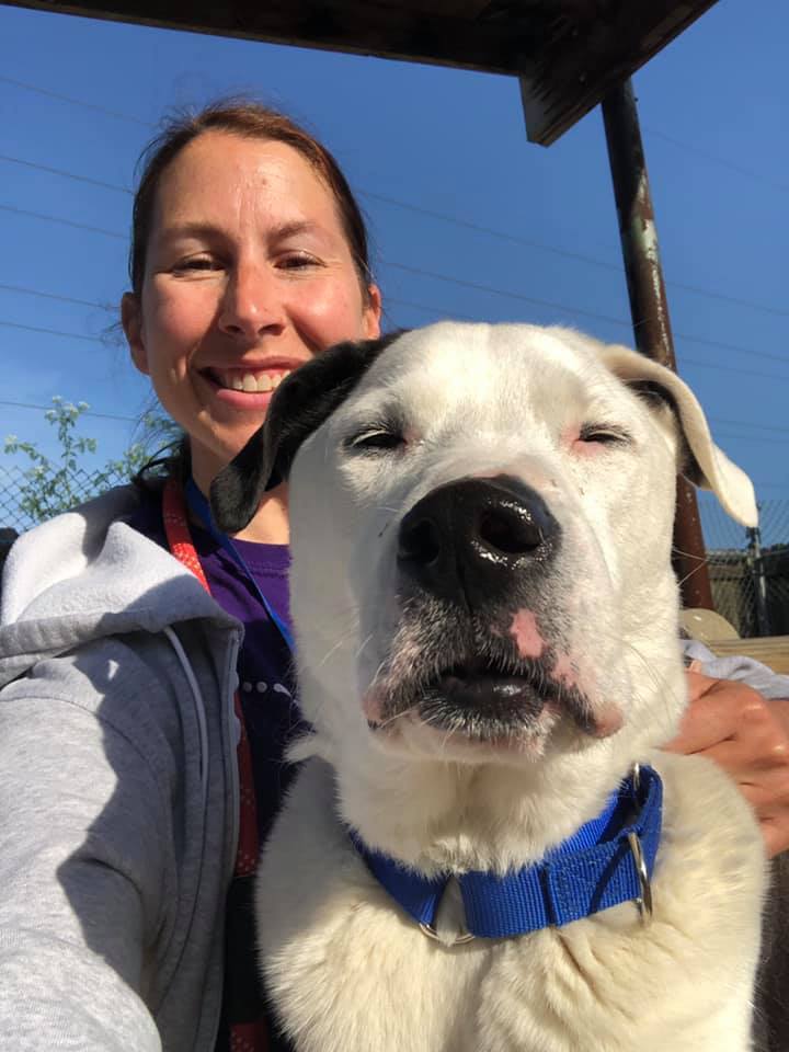 Cameron, a Adoptable mixed breed in Cincinnati, OH image 1/12