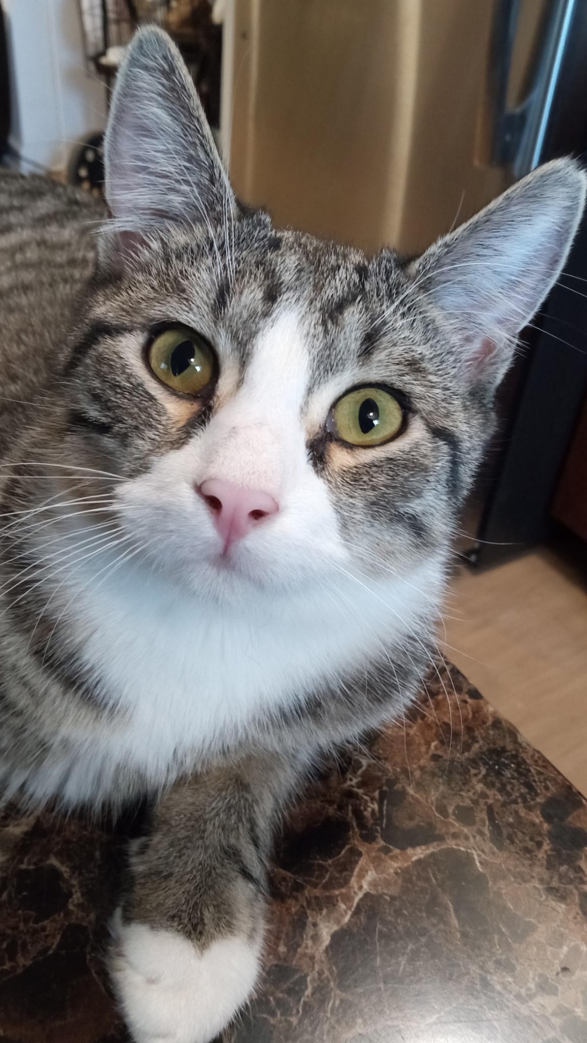 Thor N - Super friendly!