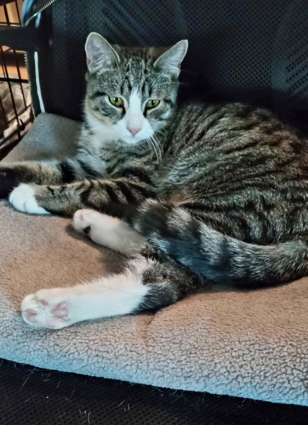 Thor N - Super friendly!