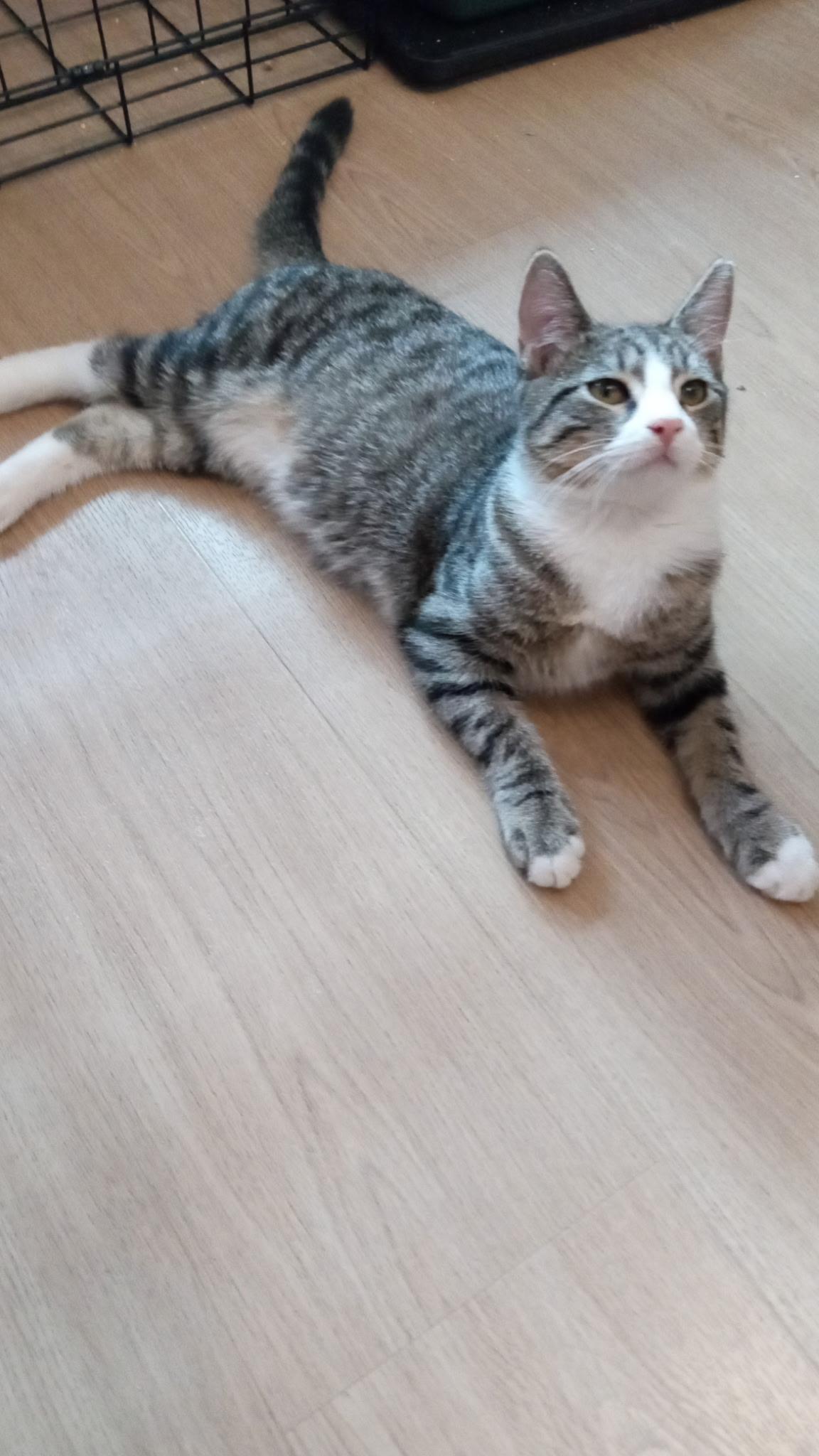 Thor N - Super friendly!