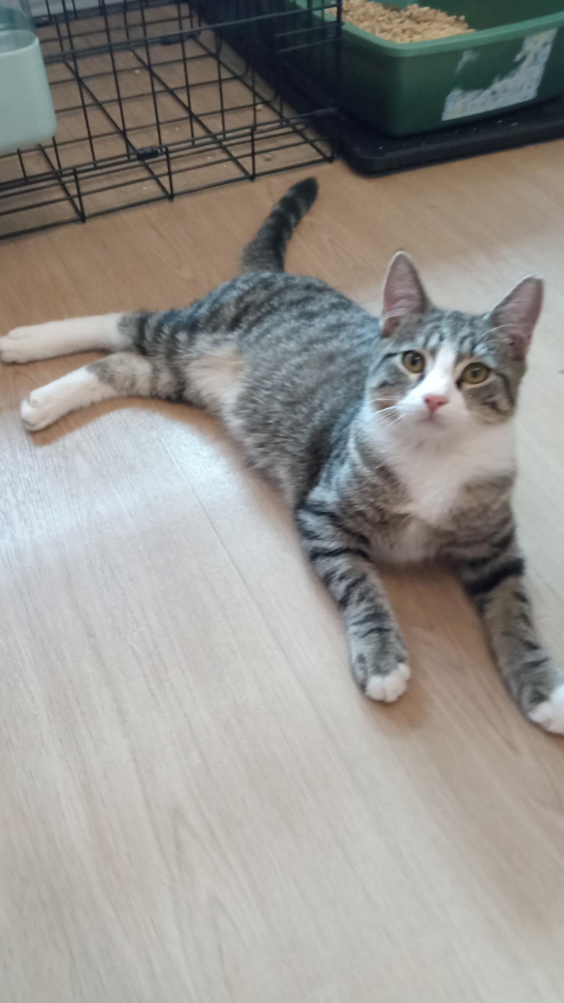 Thor N - Super friendly!