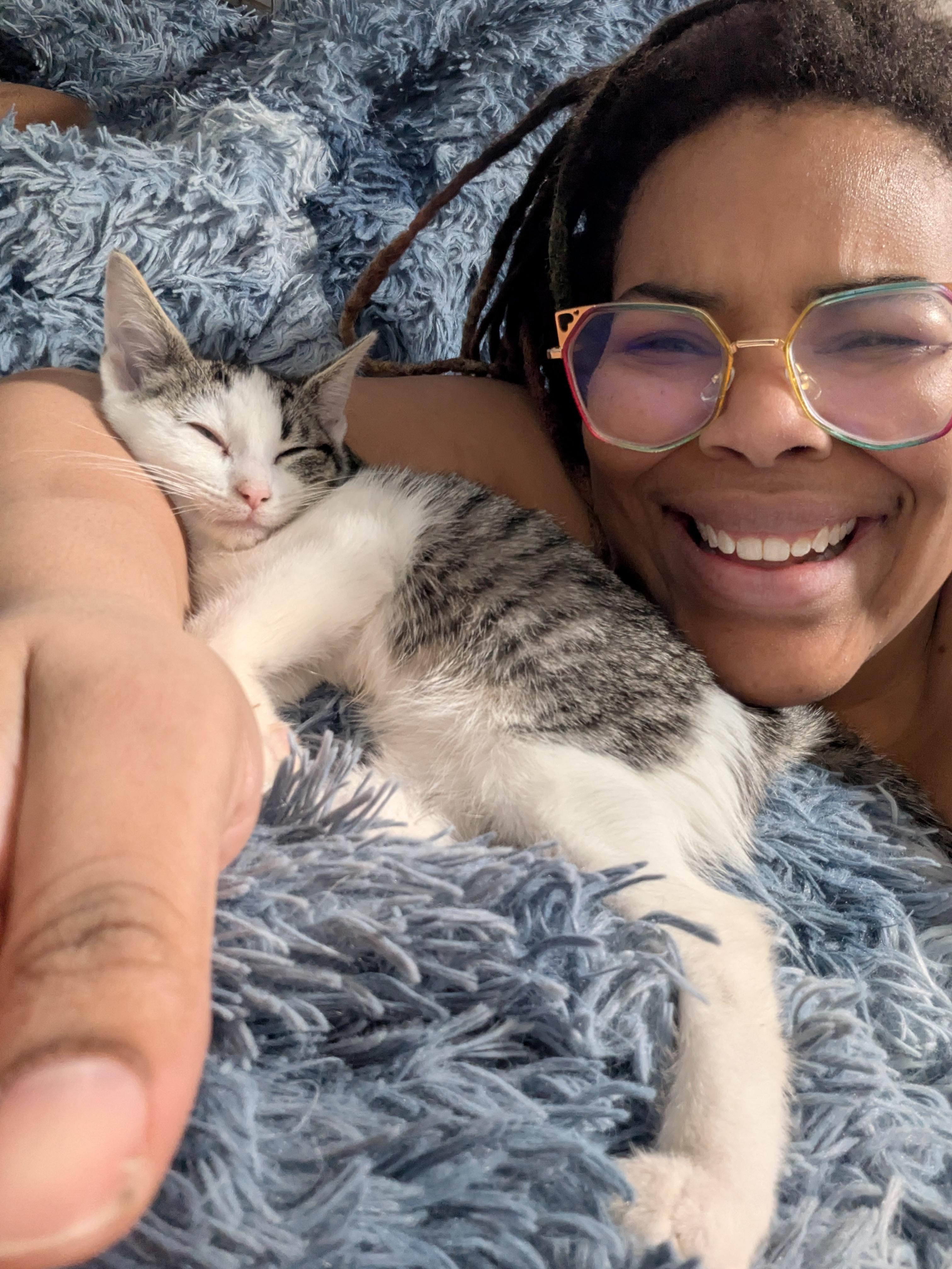 Enlarge The Fool, a ADOPTABLE Domestic Short Hair in Philadelphia, PA image 3/6