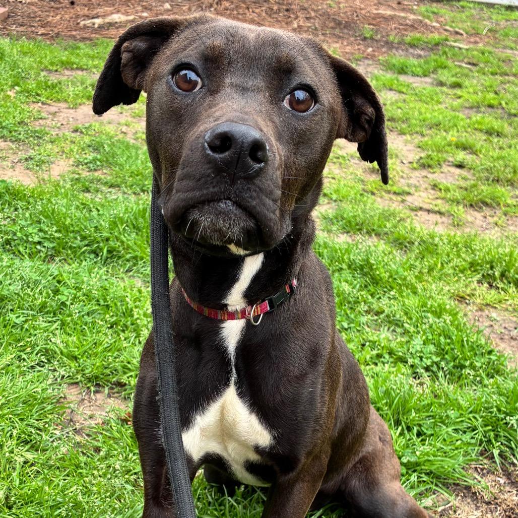 Rockstar — thumbnail 2