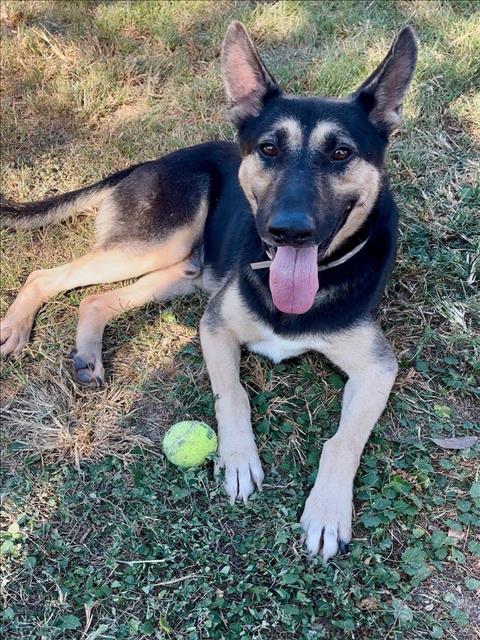 JAZZ — thumbnail 2