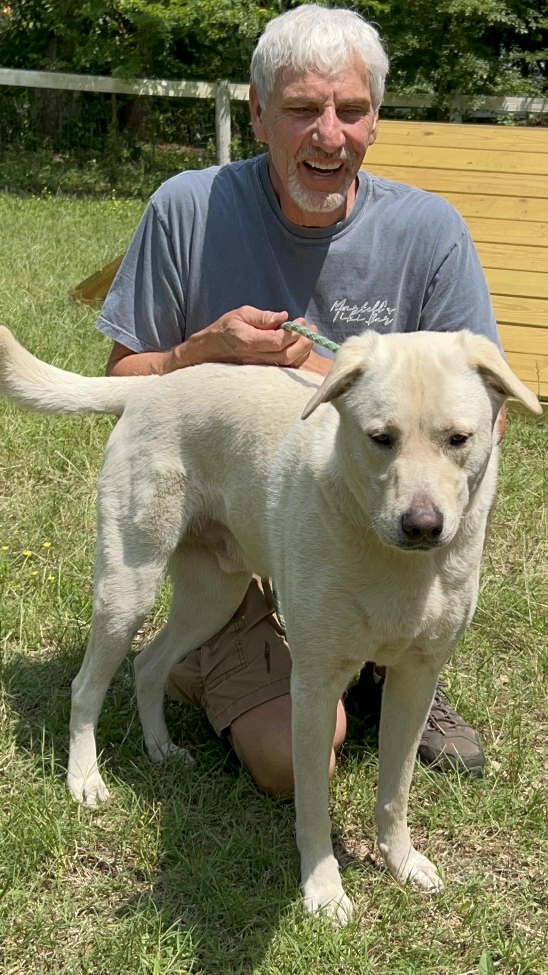 Koda, a Adoptable mixed breed in Clayton, NC image 5/6