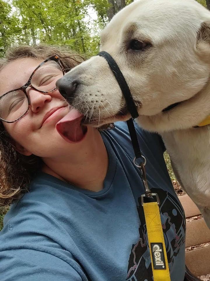 Koda, a Adoptable mixed breed in Clayton, NC image 3/6