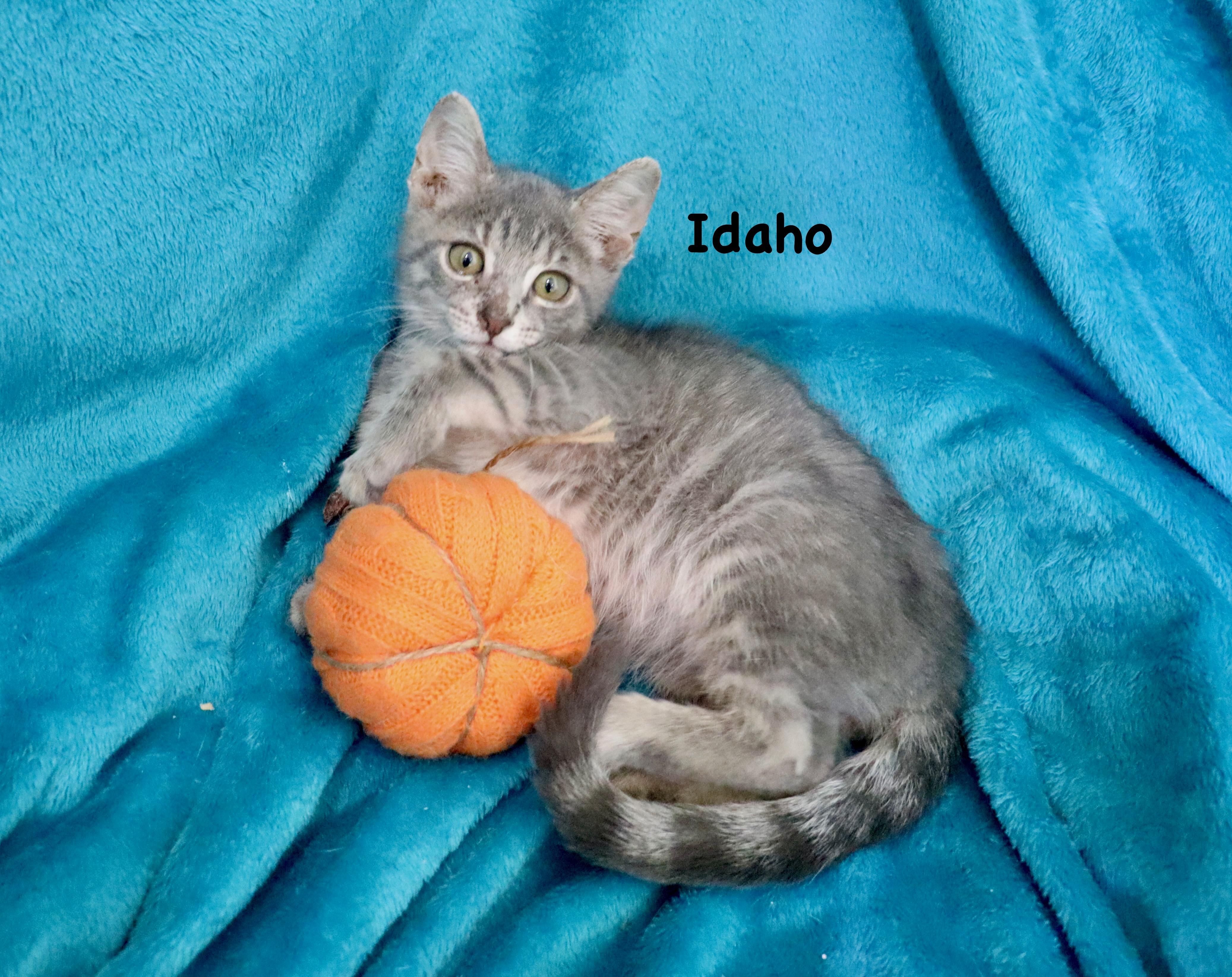 Idaho