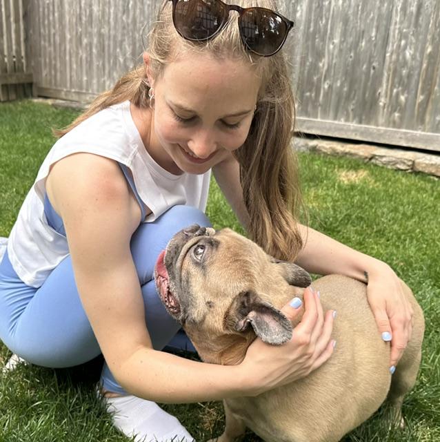 Maisie, a ADOPTABLE French Bulldog in Stamford, CT image 3/6