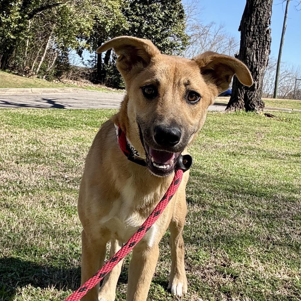 Mariana — thumbnail 2