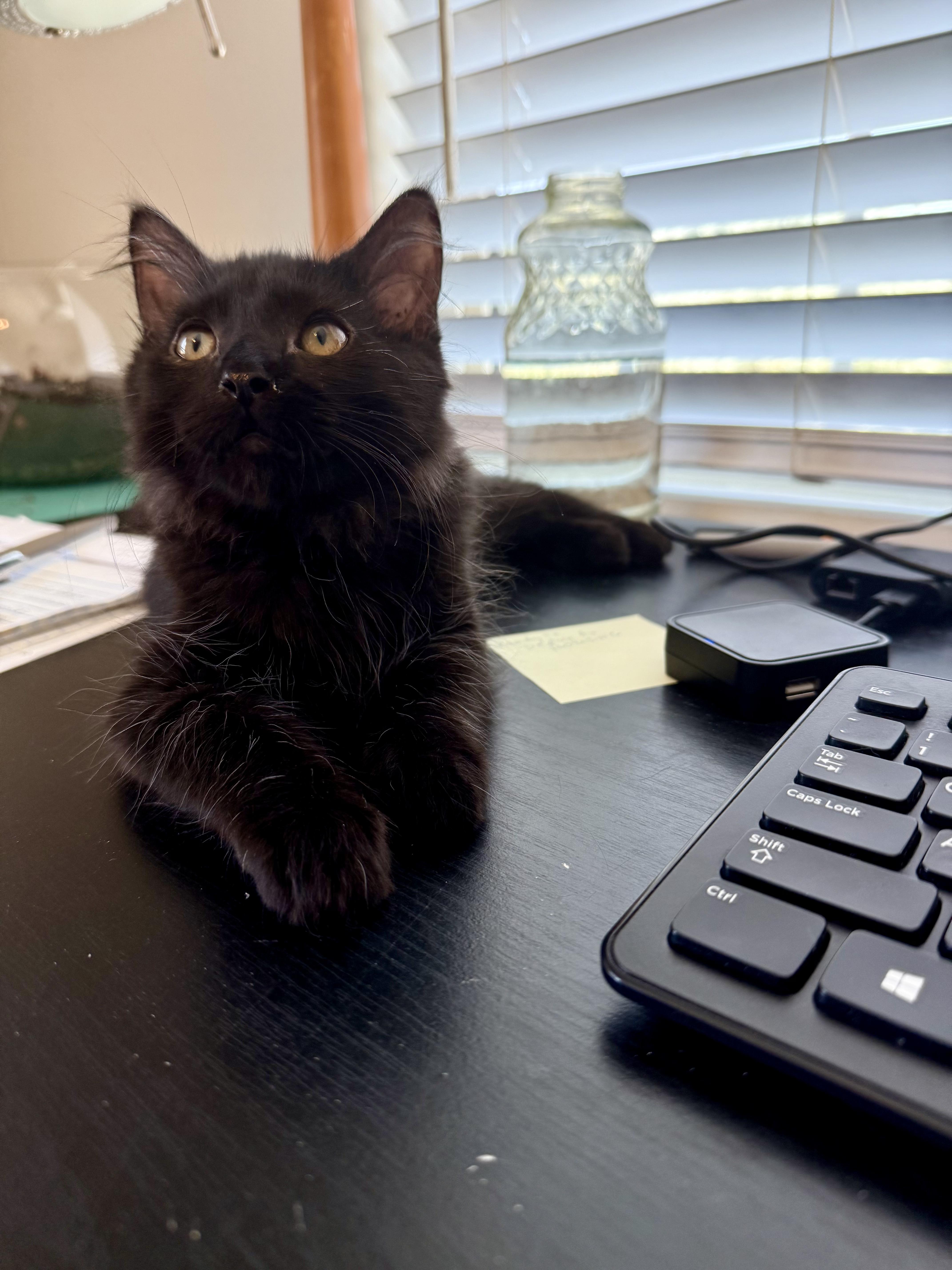 Tater