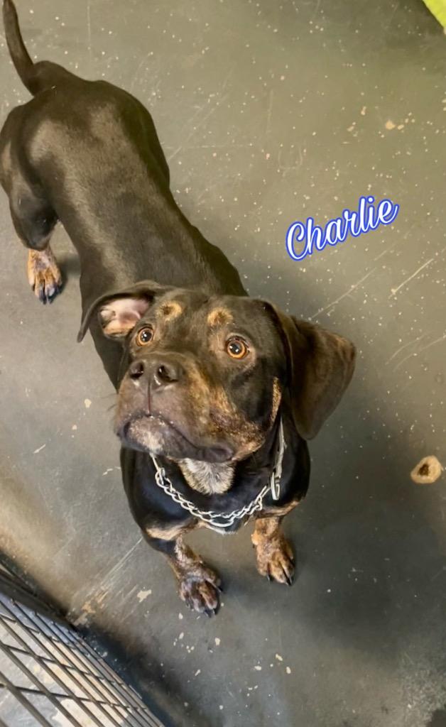 Charlie