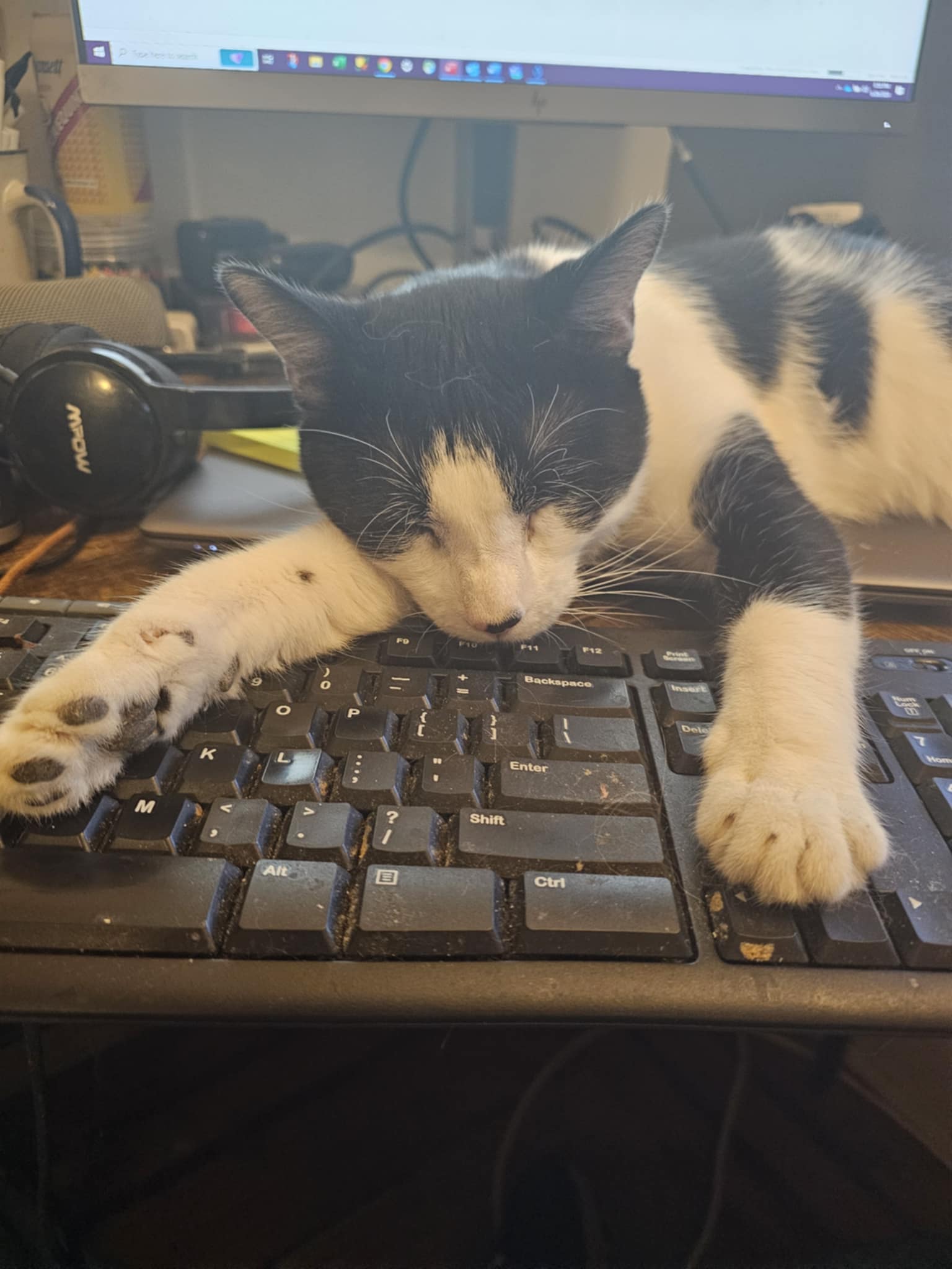 Sox