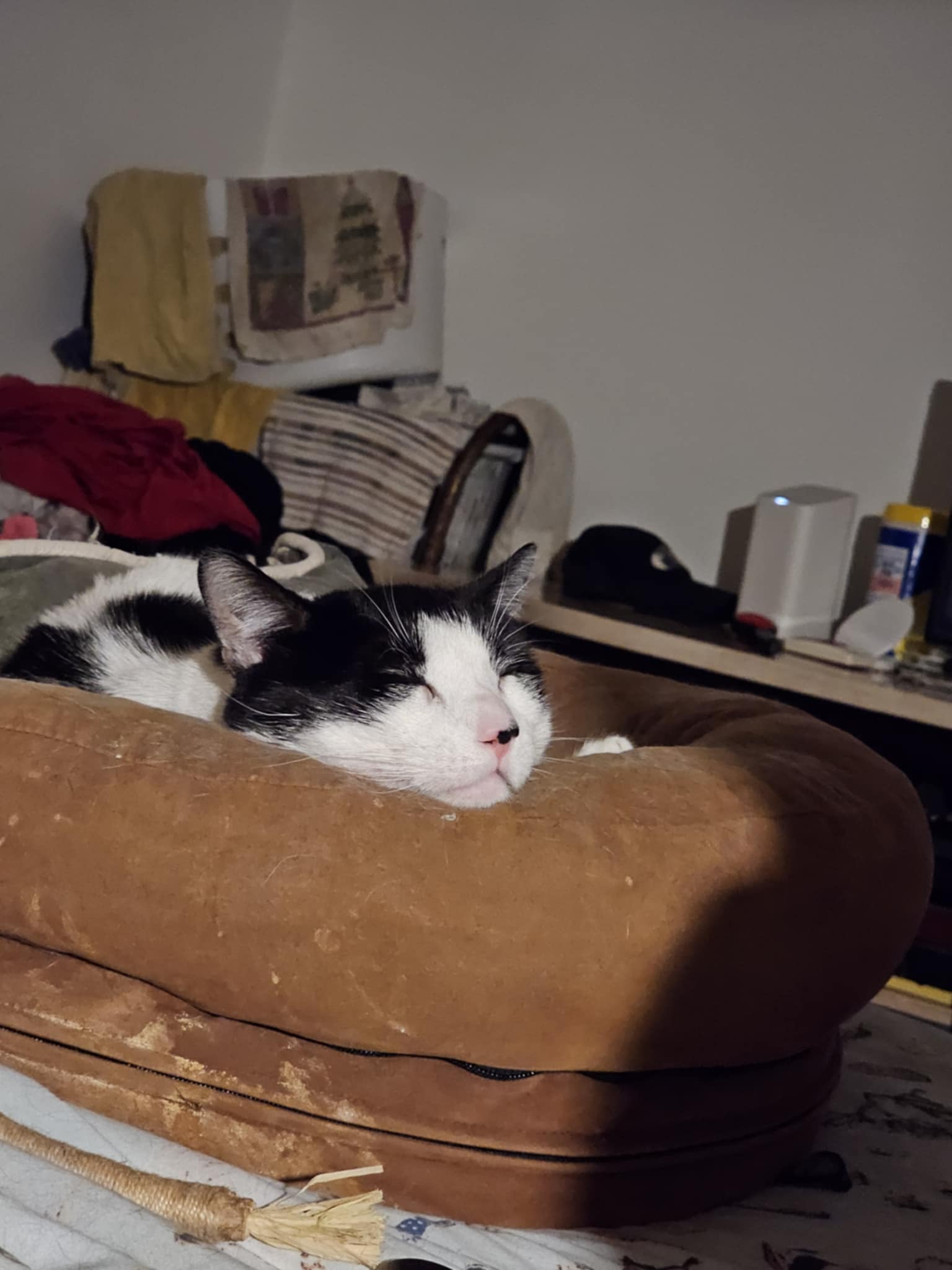 Sox
