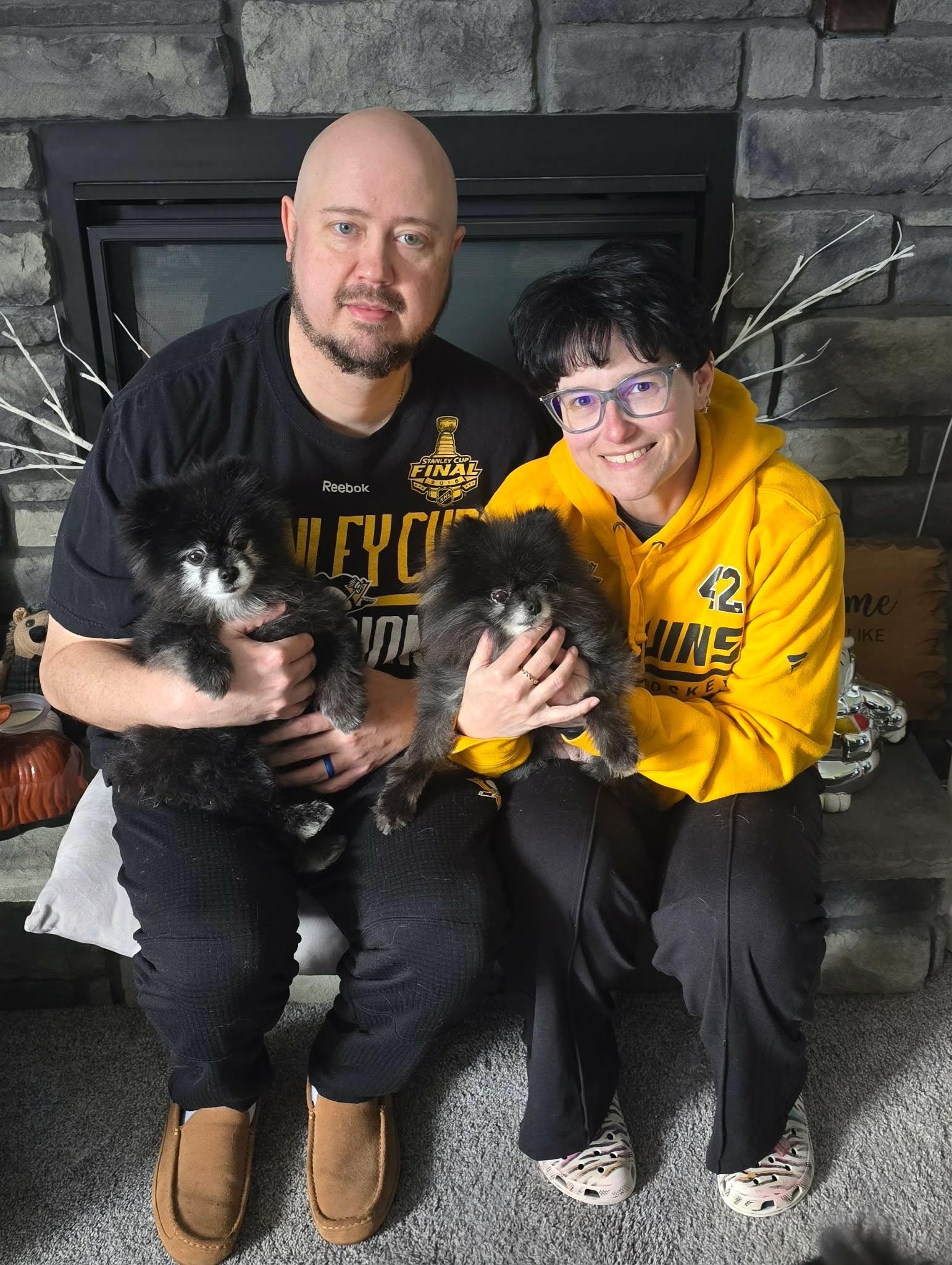 Enlarge Mira, a Adopted Pomeranian in Lebanon, PA image 2/3