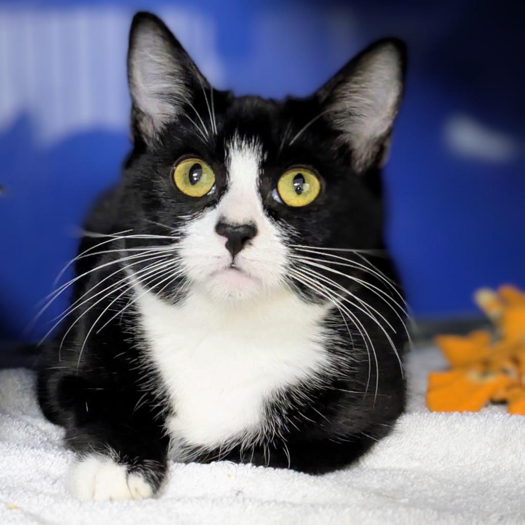 Slushie — thumbnail 2