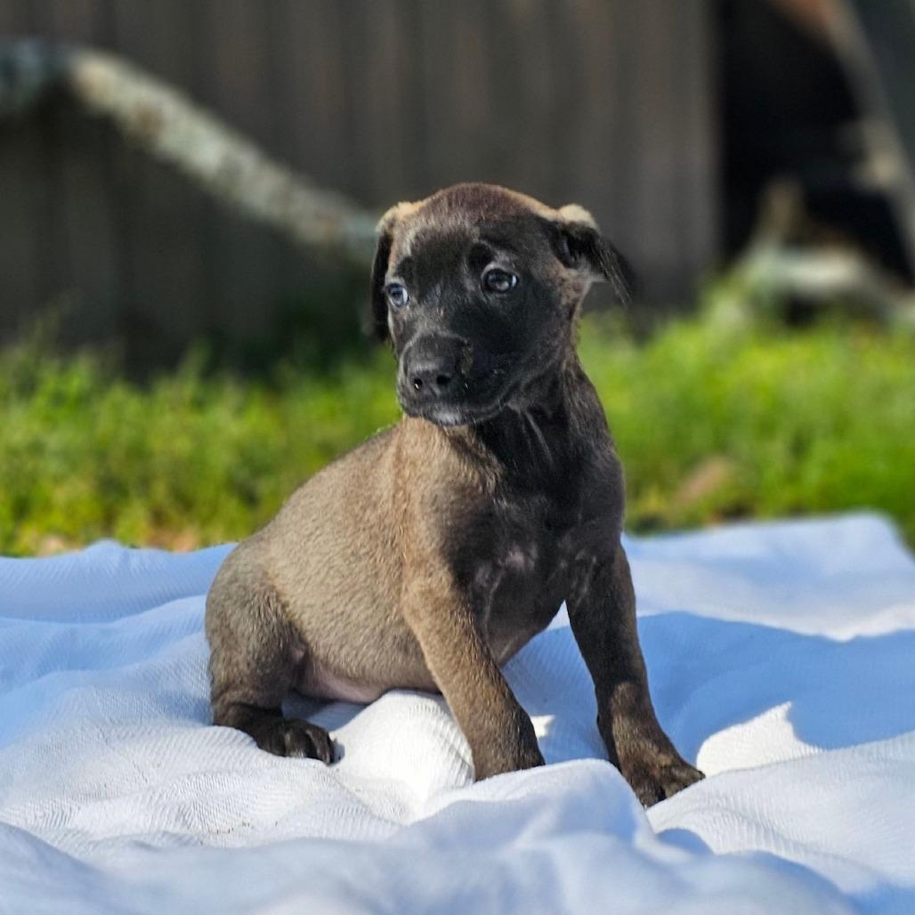 Kyla — thumbnail 2