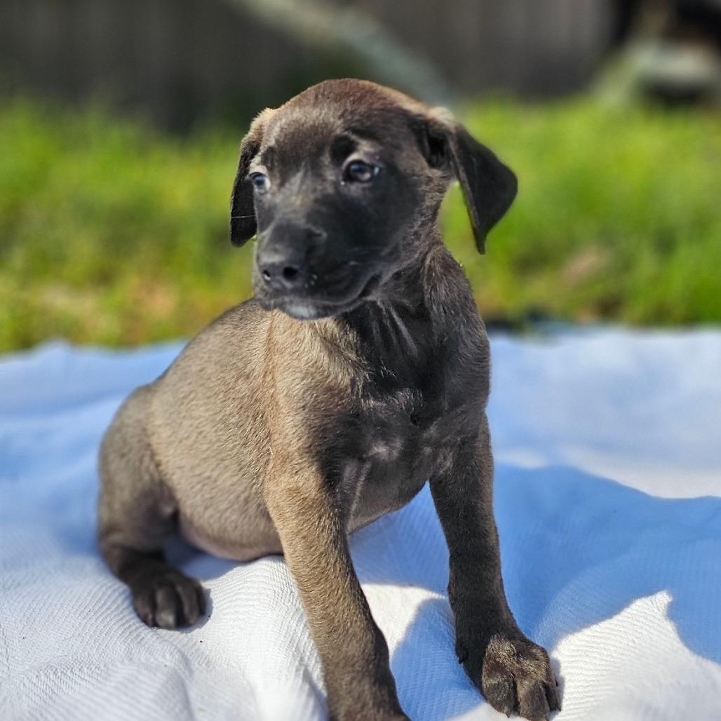 Kyla — thumbnail 4