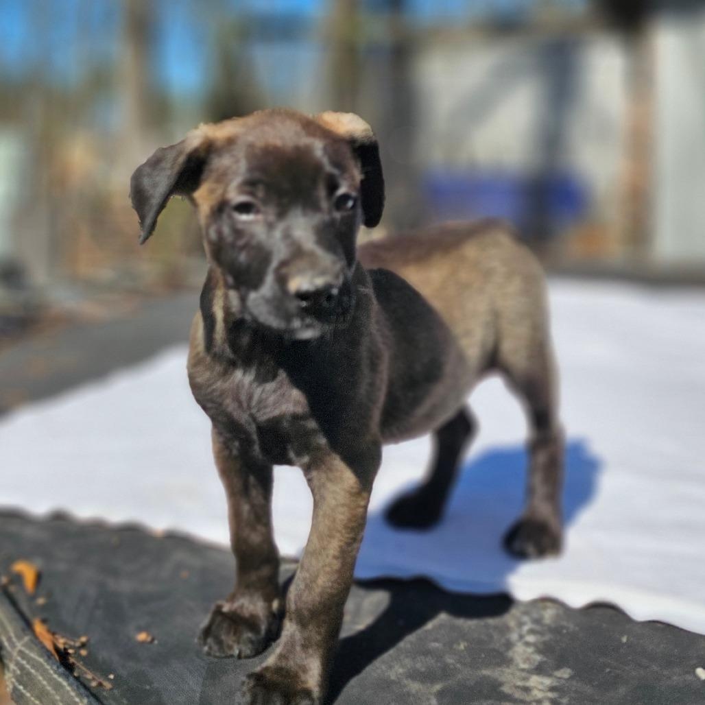 Kyla — thumbnail 5