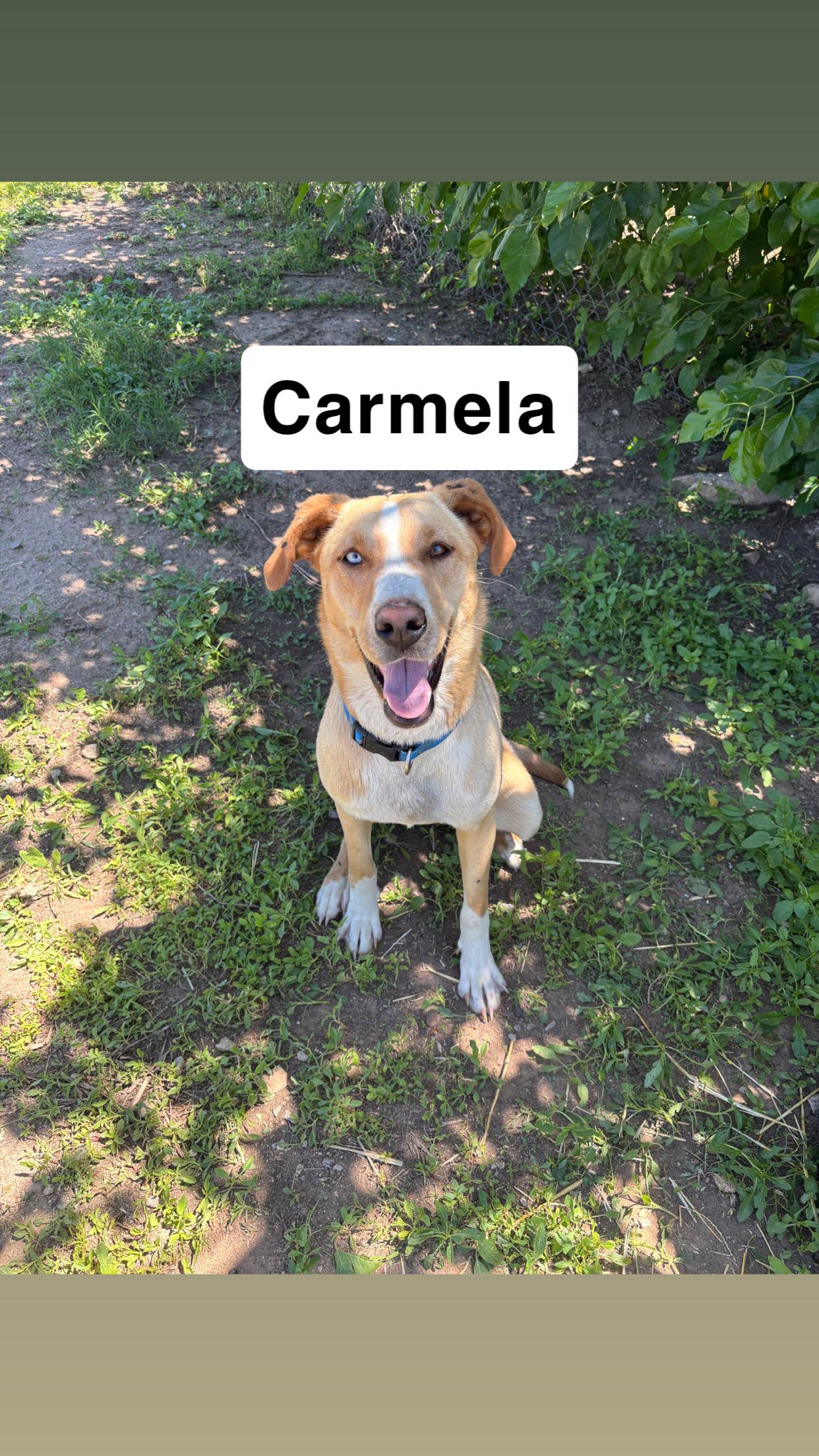 Carmela