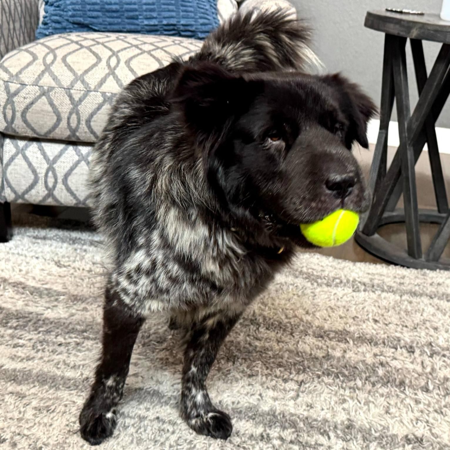 Riley photo 4