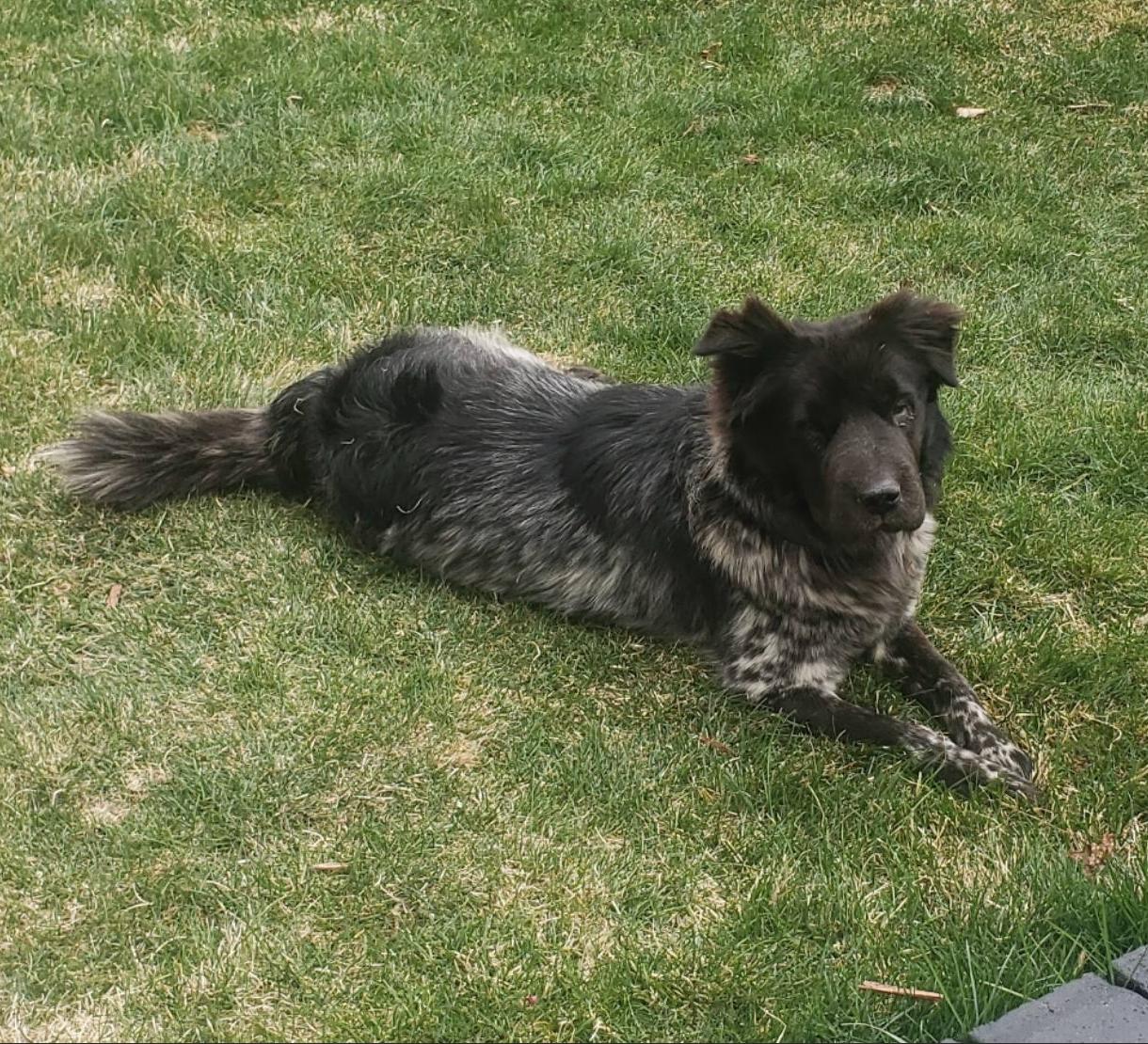 Riley photo 6