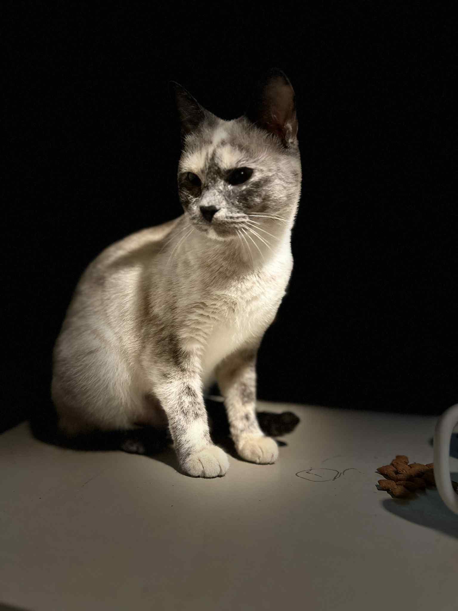 Snow See Videos thumbnail 4