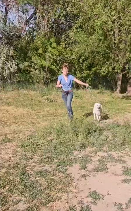 Enlarge Jimmy, a Adoptable mixed breed in Pocatello, ID video 2/4