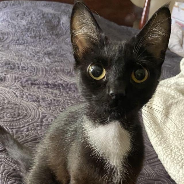Barbara the exotic beauty